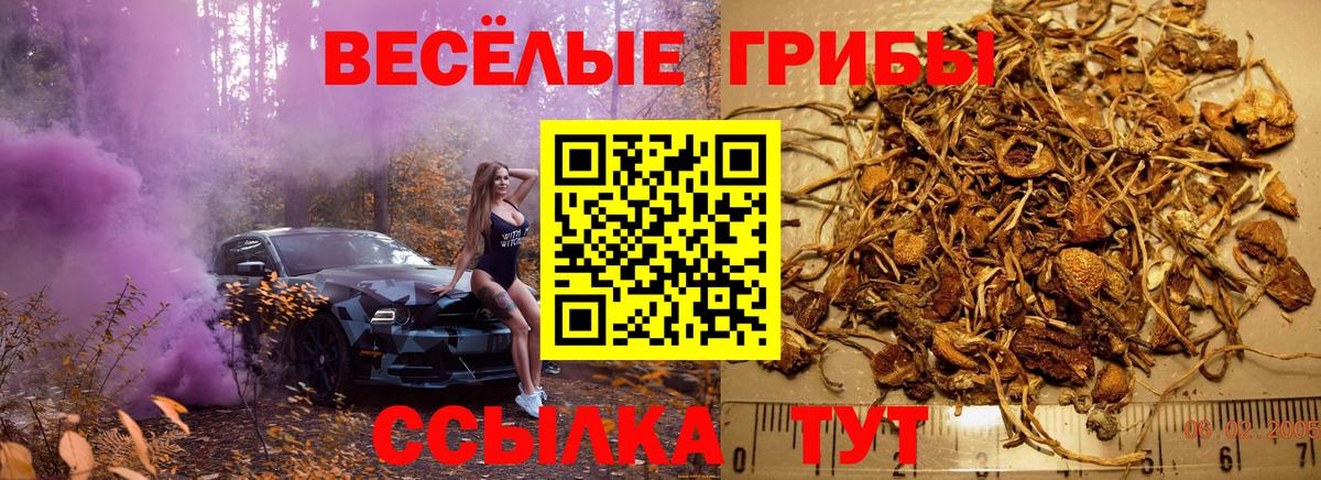 Воскресенск  Псилоцибиновые грибы ЛСД  Вход с VPN 