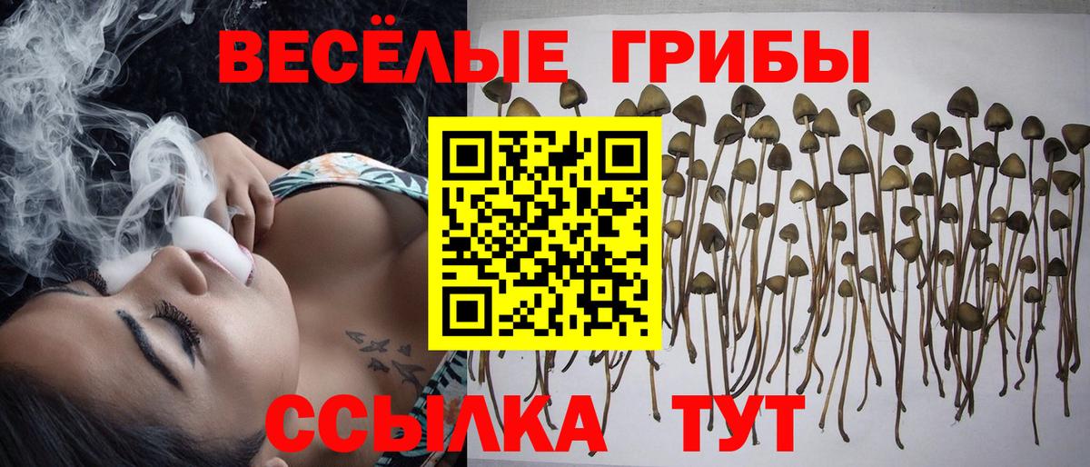 Псилоцибиновые грибы ЛСД Воскресенск